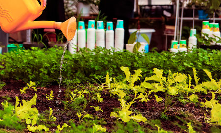Bright orange watering can nourishes young plants in a garden filled with healthy greens under clear...