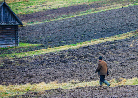 Man walks with dog in plowed field near rustic cabin during early morning light in rural landscapeの写真素材