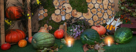 Colorful assortment of pumpkins and watermelons arranged in a rustic outdoor space adorned with candles and greenery, highlighting autumn.の写真素材