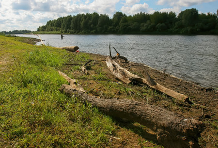 Fishermen cast their lines into the river while enjoying a sunny afternoon surrounded by vibrant nature and tall trees.の写真素材