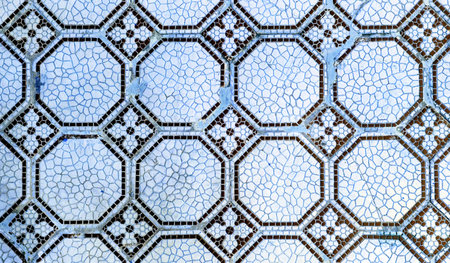 Mosaic tile pattern with octagonal shapes and intricate designs on a floor surfaceの写真素材