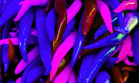 Brightly colored chili peppers stacked together in a close-up view during a local market