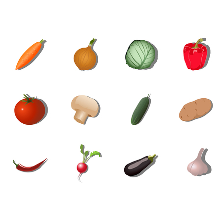 Vegetable setのイラスト素材