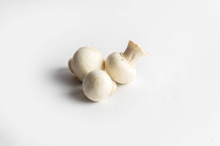mushrooms isolated on white backgroundの写真素材