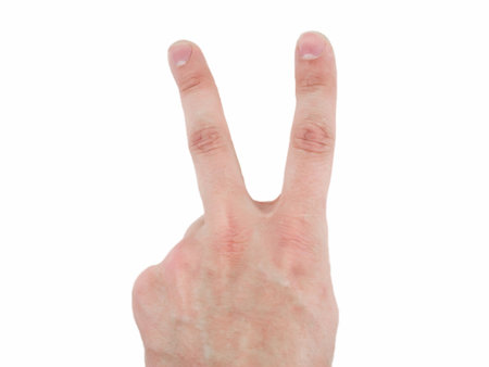 Fingers of a hand in the form of the letter V - Victory.の写真素材