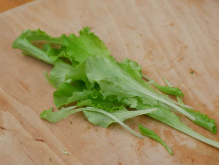 fresh lettuce on a wooden boardのeditorial素材