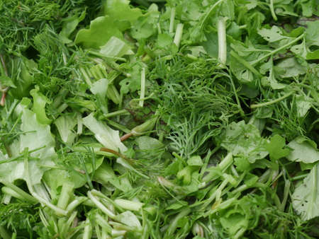 fresh vegetablesの写真素材
