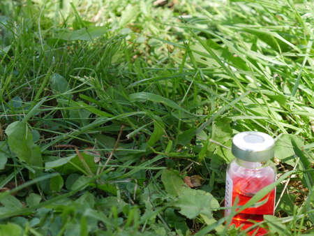 bottle of medicineの写真素材