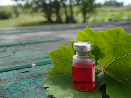 bottle of medicineの写真素材