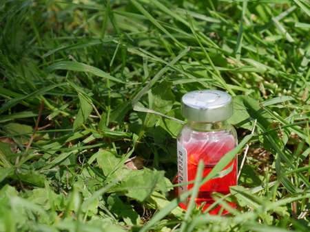 ampoule with red medicine in the grass closeの写真素材