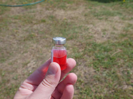 ampoule with red medicine in handの写真素材