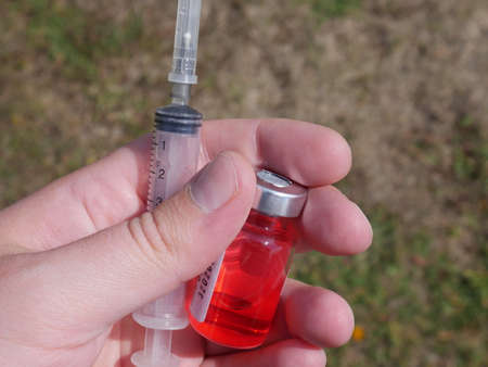 ampoule with red medicine and a syringeの写真素材