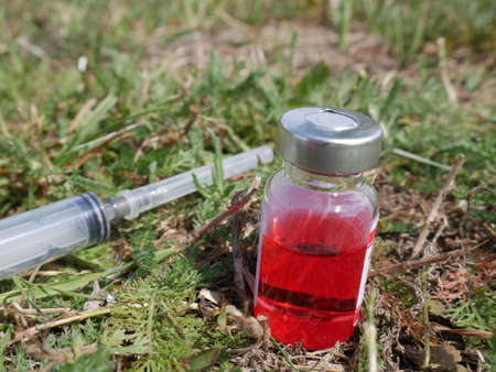 ampoule with red medicine and a syringe on the background of withered grassの写真素材