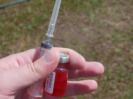 ampoule with red medicine in hand and a syringe on the background of faded grassの写真素材