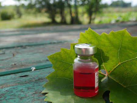 bottle with red medicine on the background of a leafの写真素材