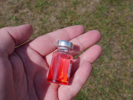 ampoule with red medicine in handの写真素材
