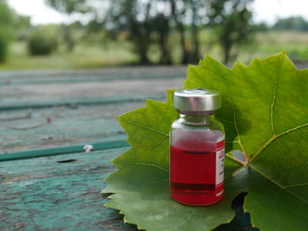 bottle with red medicine on the background of a leafの写真素材