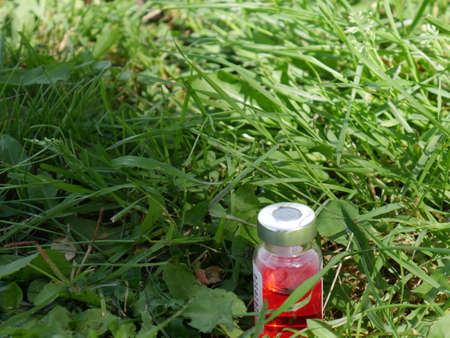 ampoule with red medicine in the grass closeの写真素材