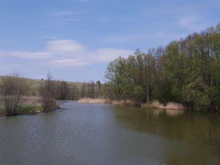 spring river in cloudy weather. Green grassの写真素材