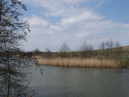 spring river in cloudy weather. Green grassの写真素材