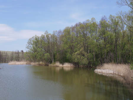 spring river in cloudy weather. Green grassの写真素材