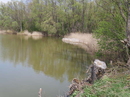 spring river in cloudy weather. Green grassの写真素材