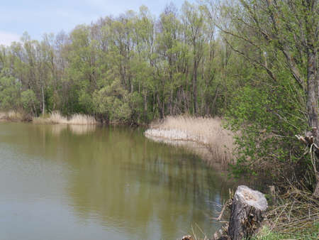 spring river in cloudy weather. Green grassの写真素材