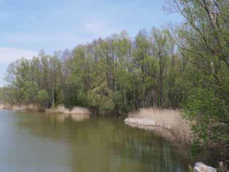spring river in cloudy weather. Green grassの写真素材