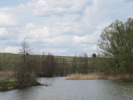 spring river in cloudy weather. Green grassの写真素材