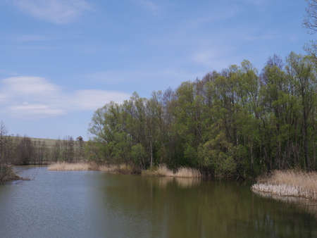 spring river in cloudy weather. Green grassの写真素材