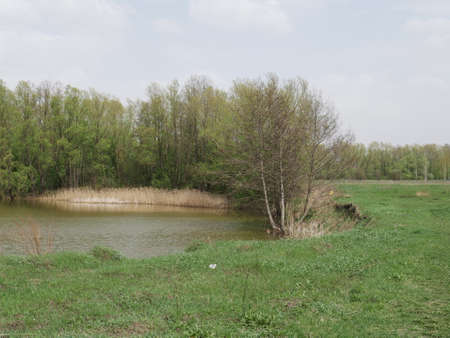 spring river in cloudy weather. Green grassの写真素材