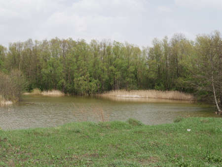 spring river in cloudy weather. Green grassの写真素材
