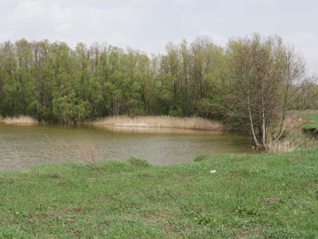 spring river in cloudy weather. Green grassの写真素材