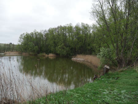 river and forest in autumn in the villageの写真素材