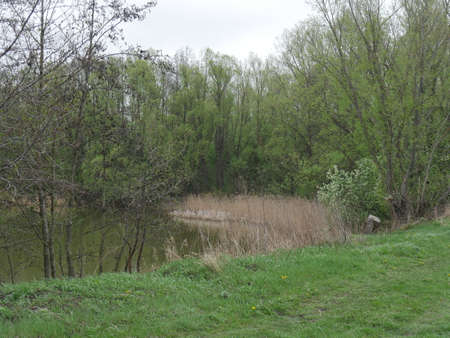river and forest in autumn in the villageの写真素材