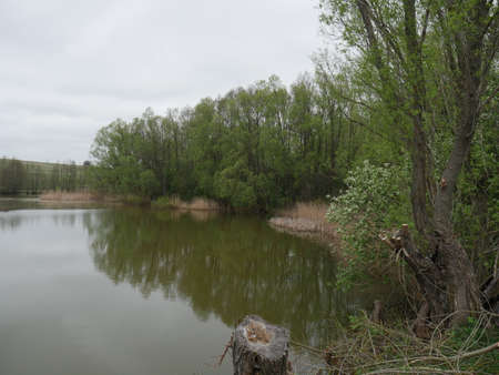 river and forest in autumn in the villageの写真素材