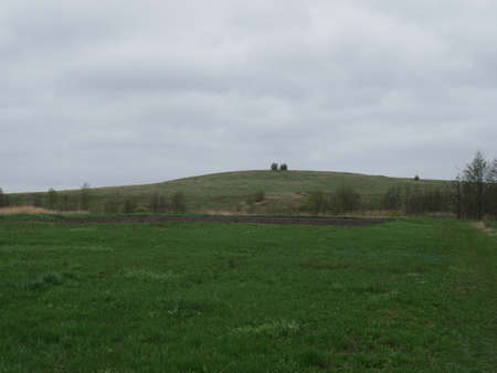 Village field and sky. Green grass. Springの写真素材