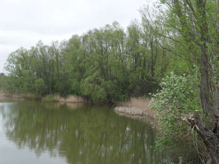 river and forest in autumn in the villageの写真素材
