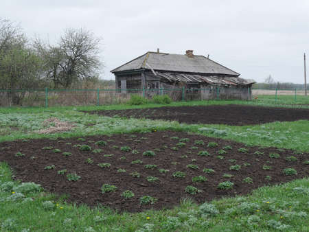 Russia. Old village house of the mid-twentieth century and a planted vegetable gardenの写真素材