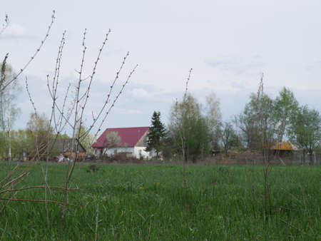 Village house with a red roof in the distance. Lots of green grassの写真素材