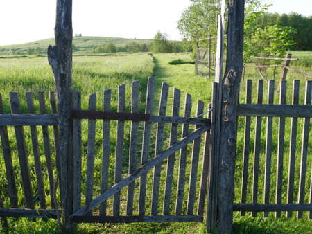Old village fence with a gate. From wood. Summer. Lots of grass.の写真素材