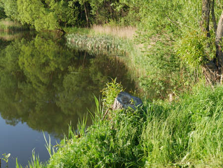 Landscape of nature. Summer. River and trees. Lots of greenery.の写真素材