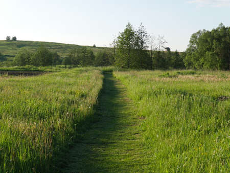 Summer village landscape. Bright sun and lots of greenery.の写真素材