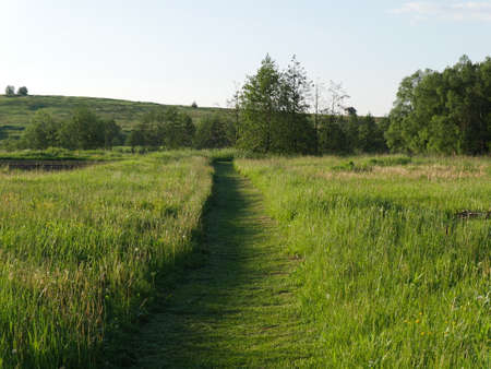 Summer village landscape. Bright sun and lots of greenery.の写真素材