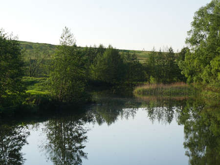 Landscape of nature. Summer. River and trees. Lots of greenery.の写真素材
