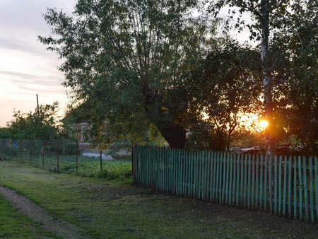 Sunset in the village in summer. Lots of green grass and a country house. The setting sun breaks through the trees.の写真素材