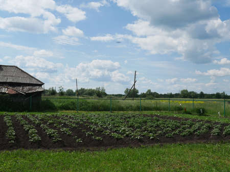 Rural landscape. Blue sky and white clouds. Sunny day. Summer.の写真素材