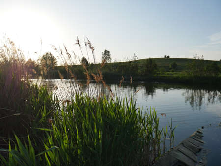 Summer landscape. River. Lots of green grass. Summer.の写真素材