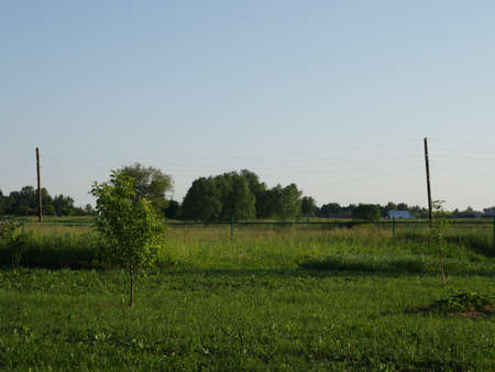 Summer landscape. Clouds and sky. Lots of green grass. Summer.の写真素材