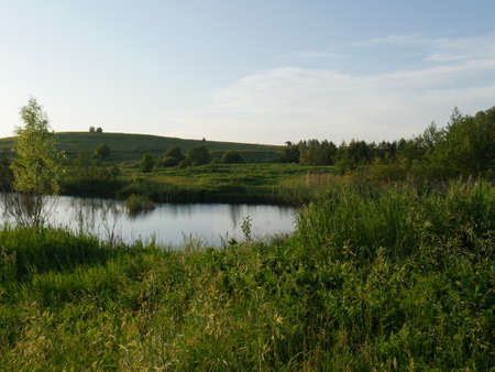 Summer landscape. River and trees. Lots of green grass.の写真素材